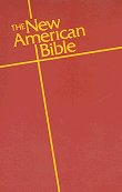 New American Paperback Student Bible